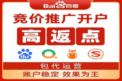 百度竞价SEM成功案例：揭秘广告投放秘诀